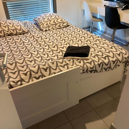 Superbe Appartement Avec Terrasse Toulouse Exteriör bild